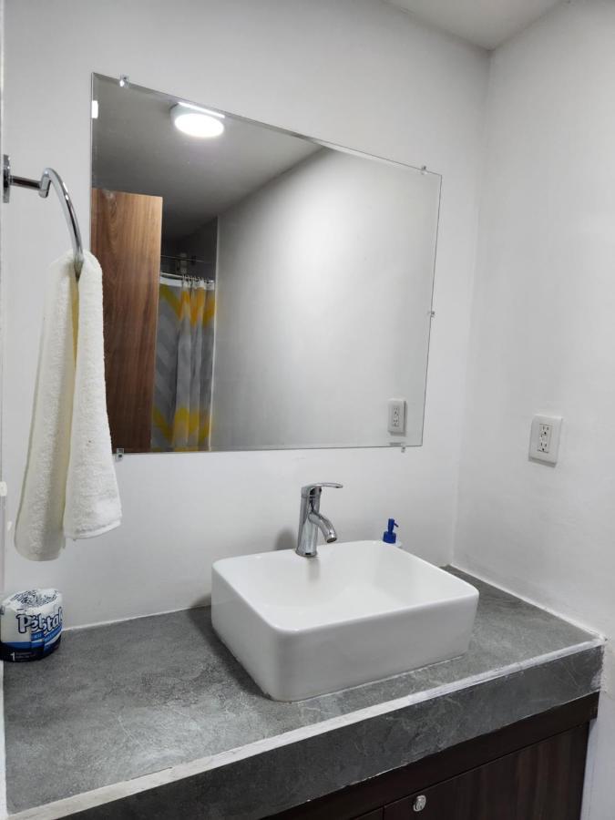 Apartment Nuevo Y Amplio Departamento Con Alberca Y Seguridad En El Centro De
