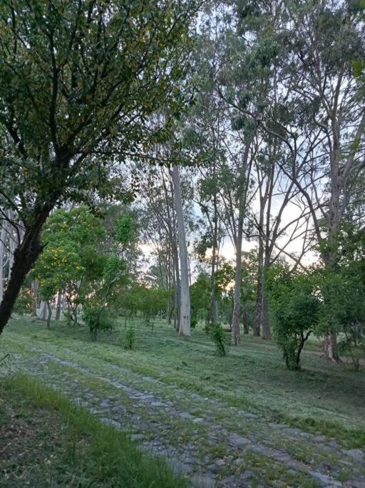 Residencia * Guadalajara