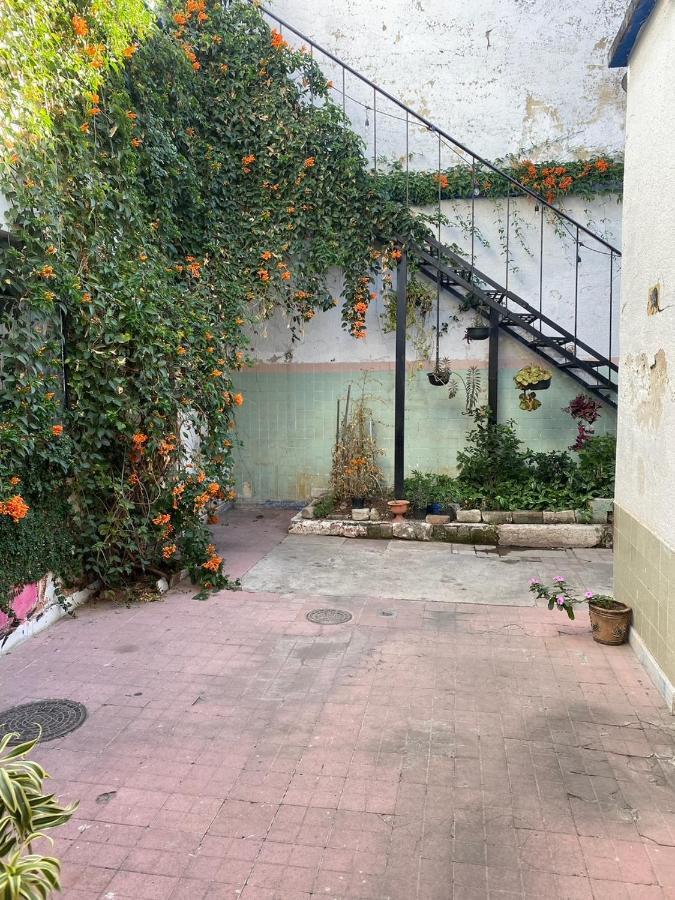 Casita Hostel