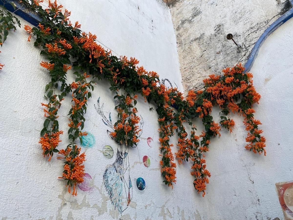 Casita Hostel *