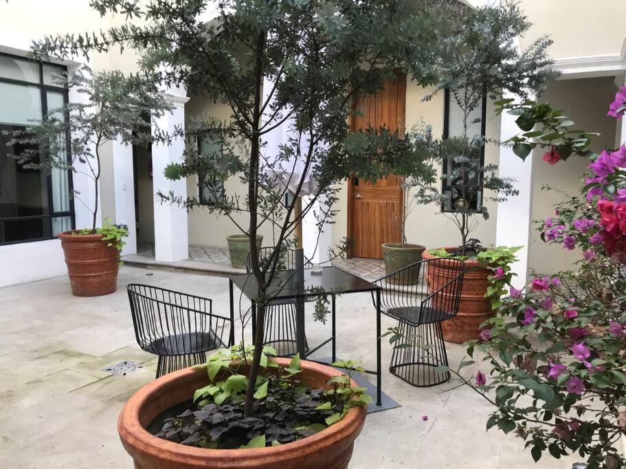 Casa Monarcas - Maria Luisa Guadalajara
