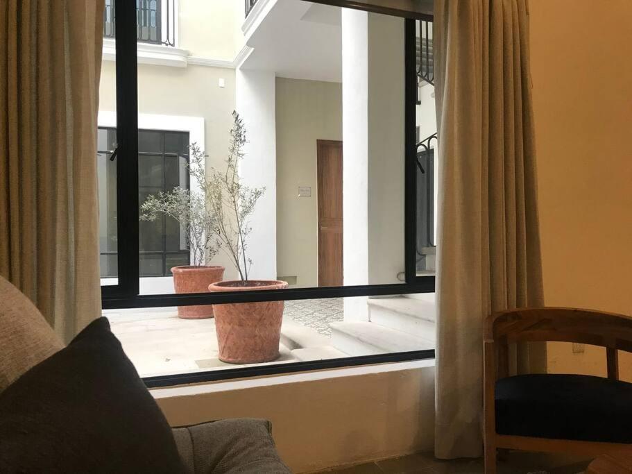 Casa Monarcas - Maria Luisa Apartment