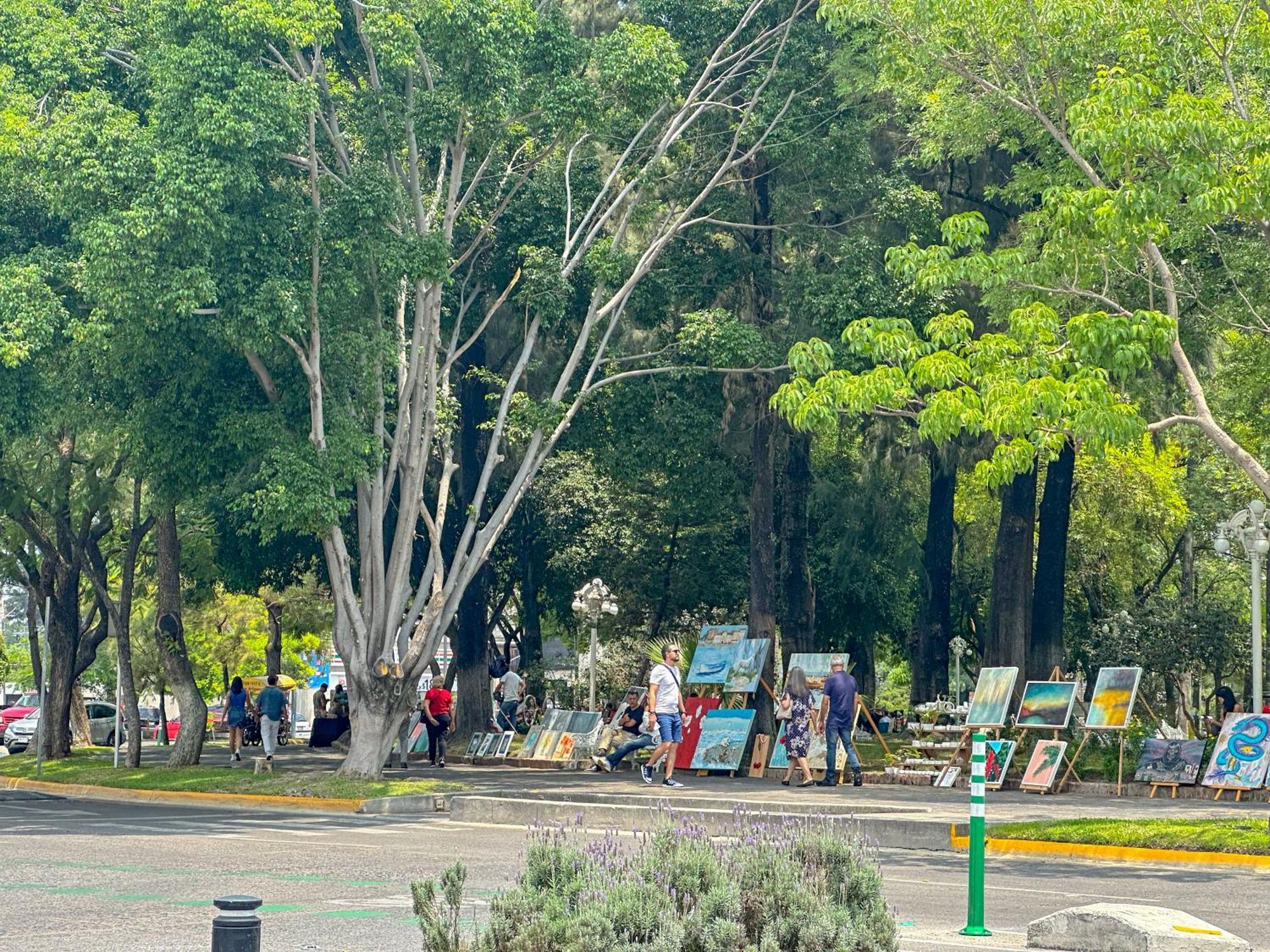 Con Terraza En En El Corazon De Chapalita 11 * Guadalajara