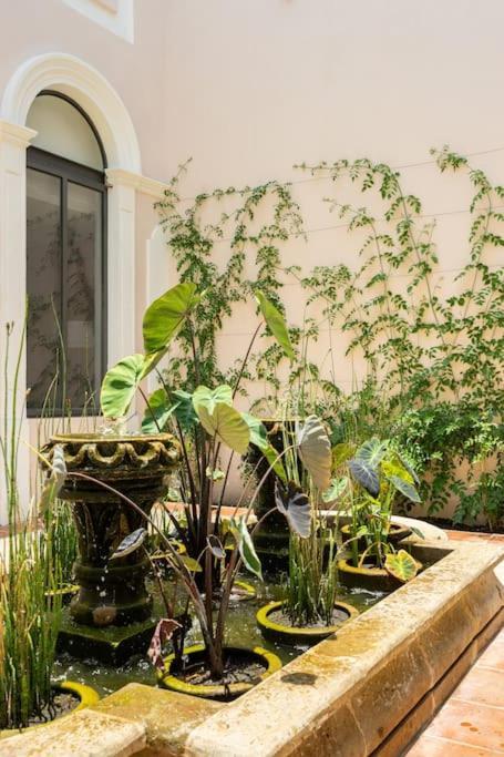 Increible Loft En Centro Historico De Apartment *