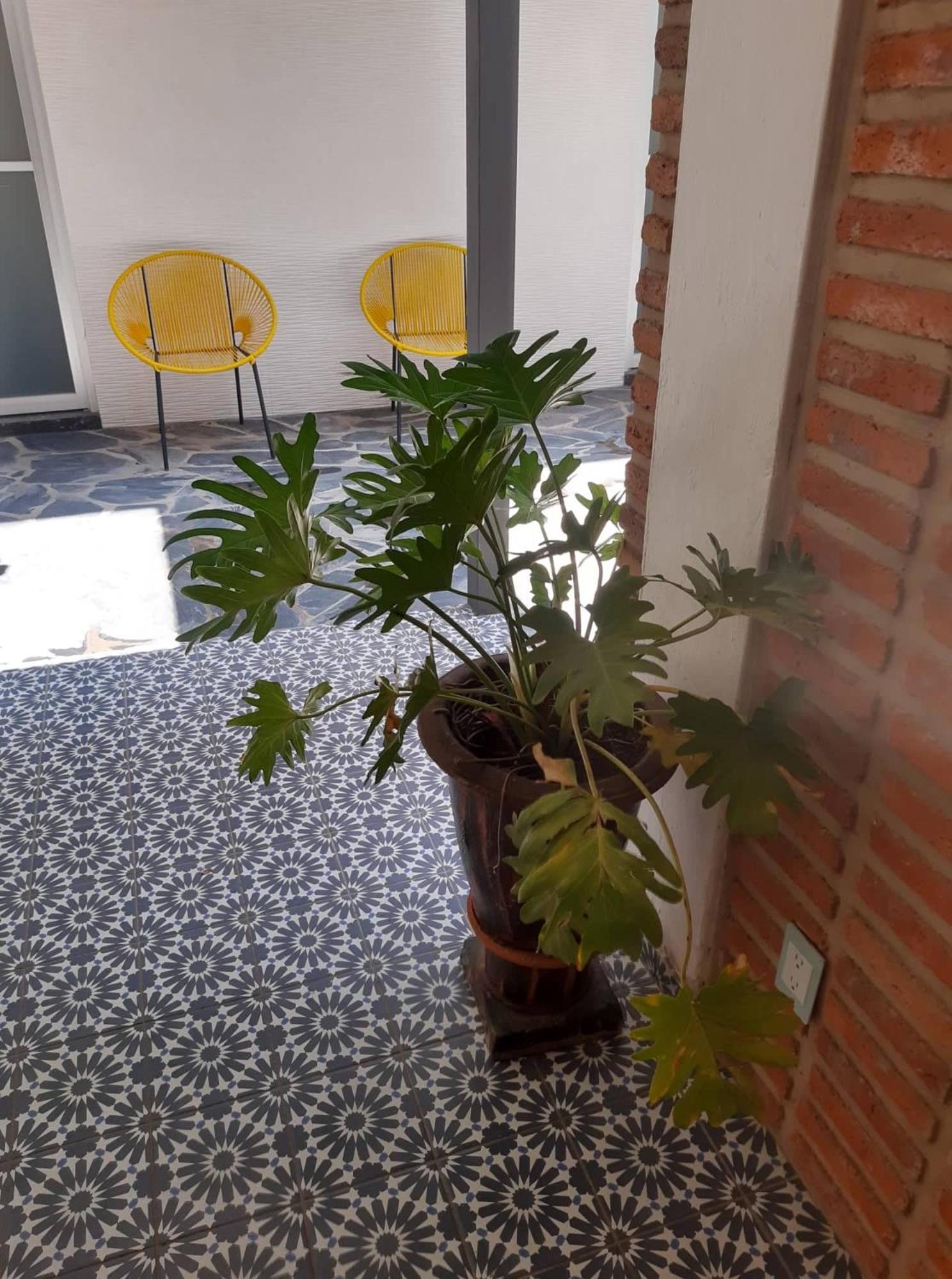 Estudio #5 Casa Fatima, 8 Min Del Centro 1 Persona Guadalajara