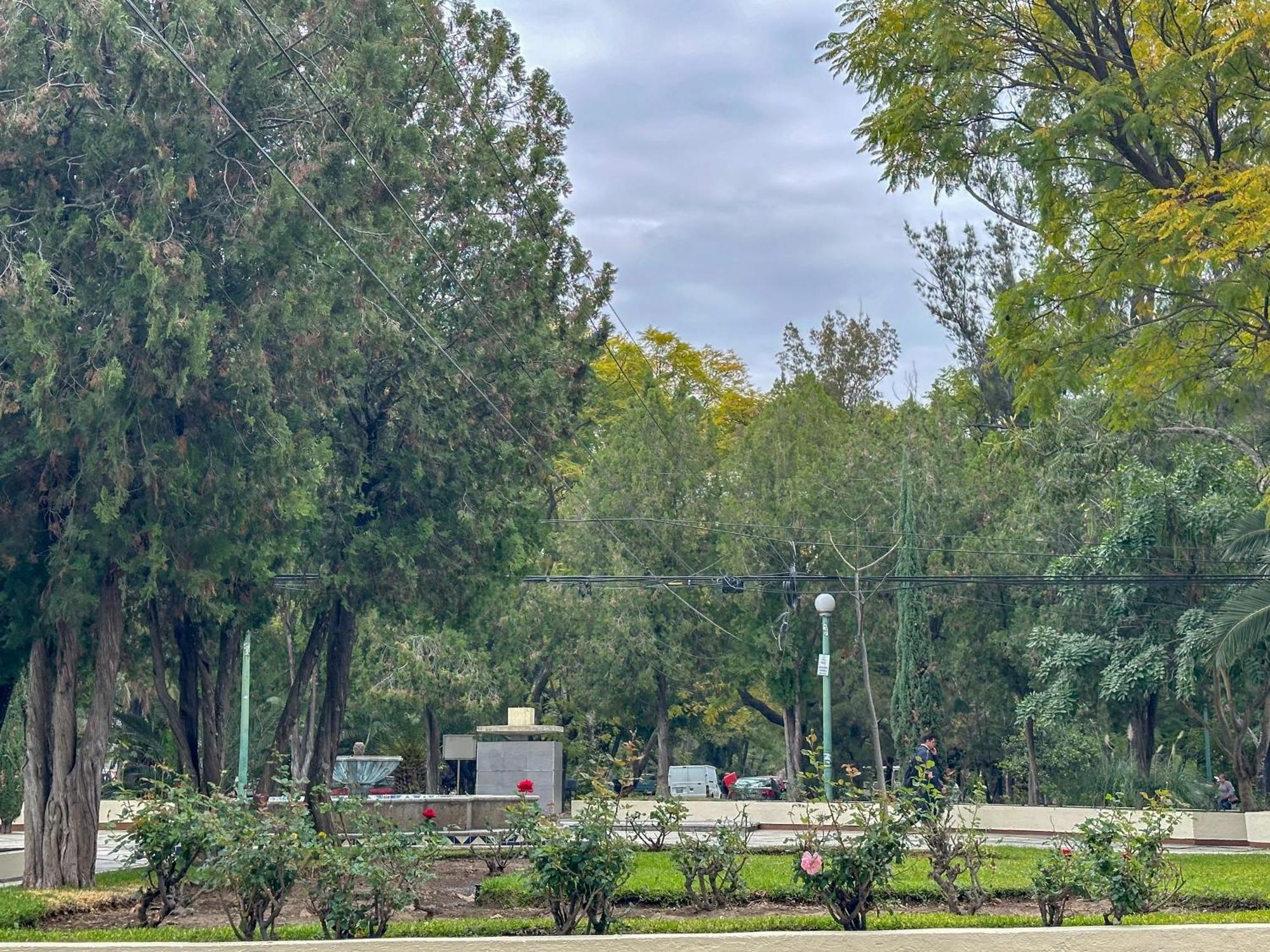 Estudio De Dos Camas Centrico En Chapalita 13 * Guadalajara