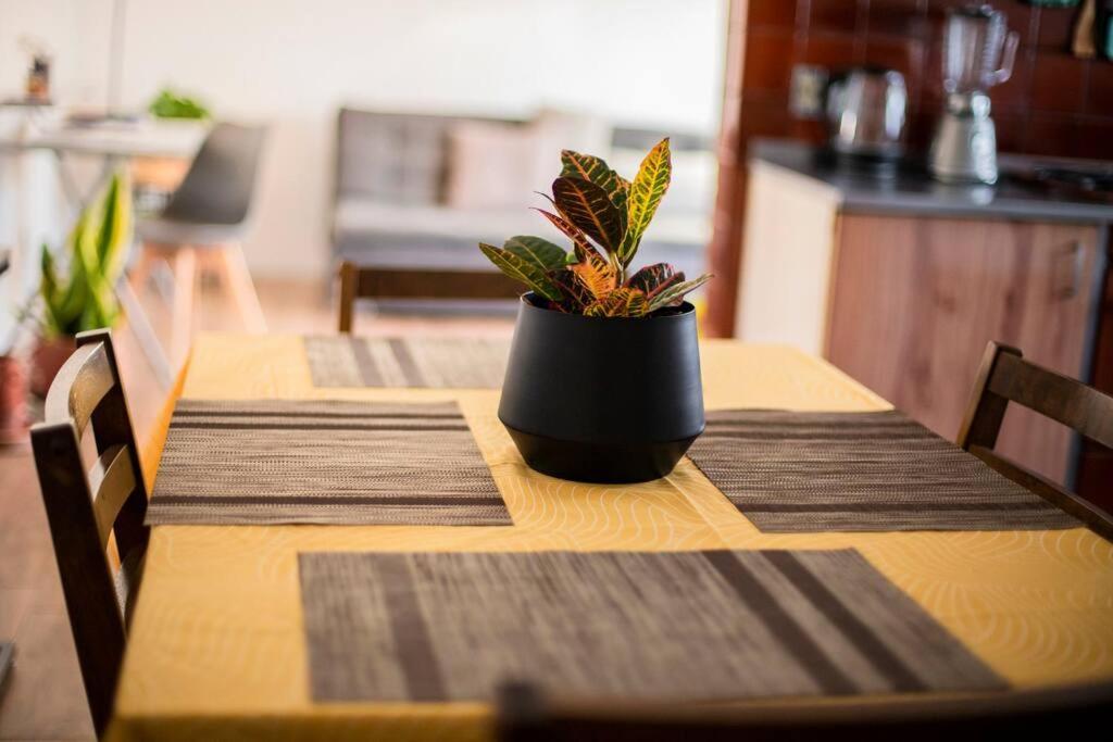 Casa Barlovento A 3 Cuadras De Expo Gdl Apartment *