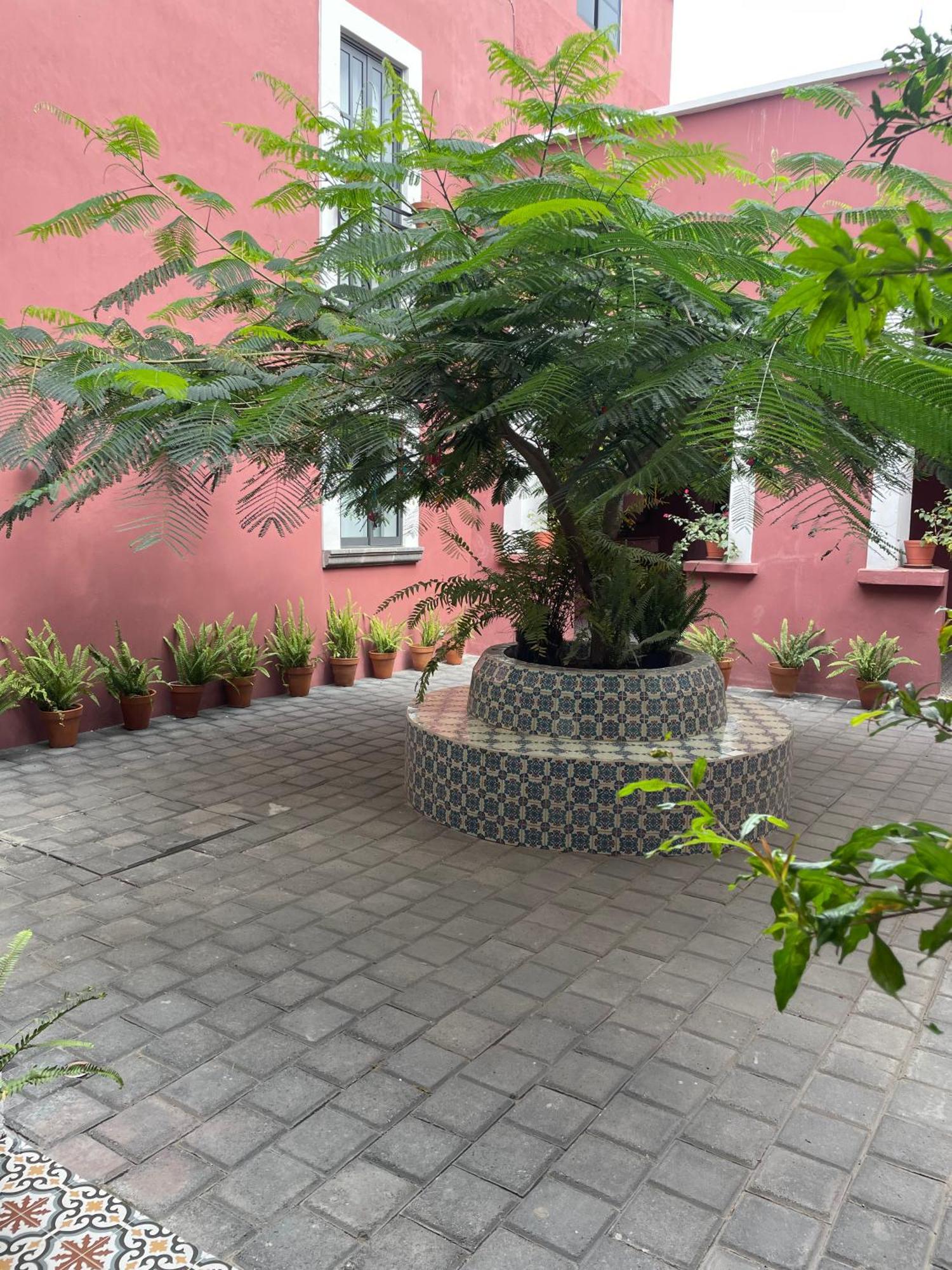 Quinta La Perla Hostel Guadalajara