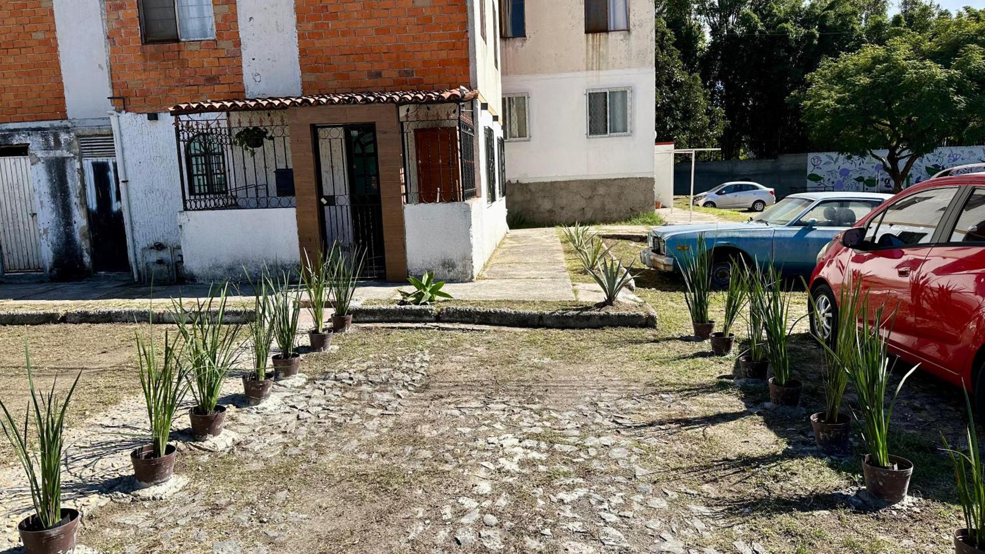 Apartment Nido Del Tecolote