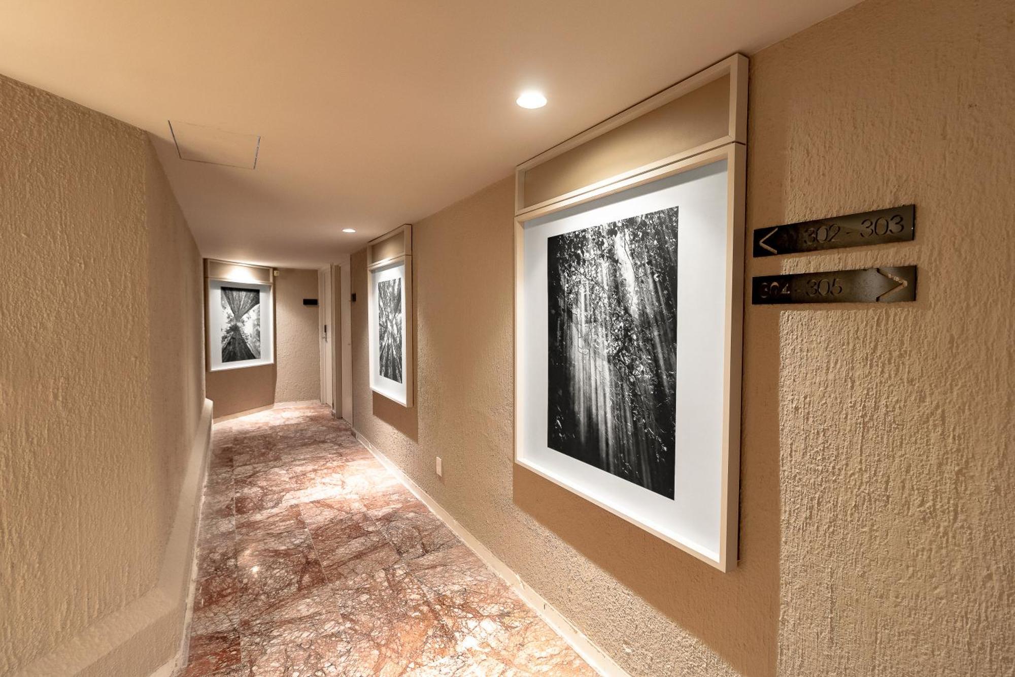 Hotel Fuente Del Bosque Guadalajara