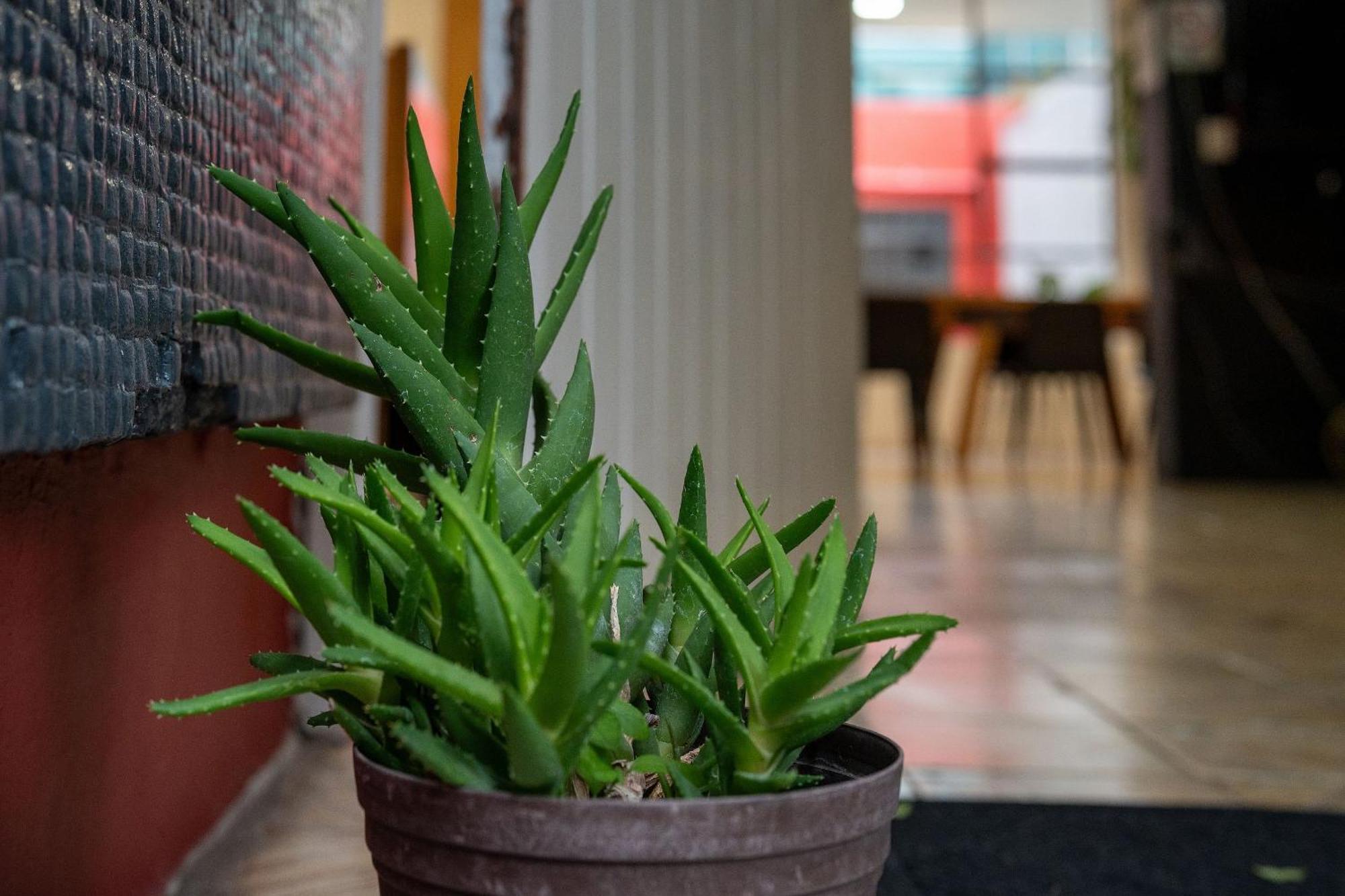 Privadas Con Bano Propio En Zona Segura Y Centrica De Guadalajara. Holiday home