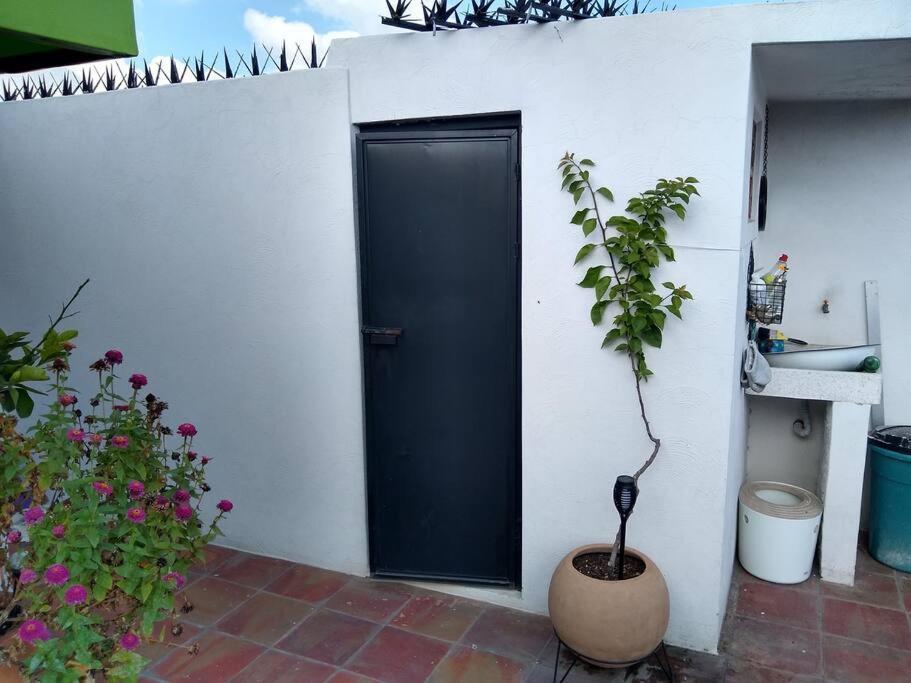 Casa Cuauhtemoc Holiday home *