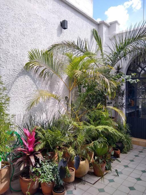 Holiday home Casa Cuauhtemoc