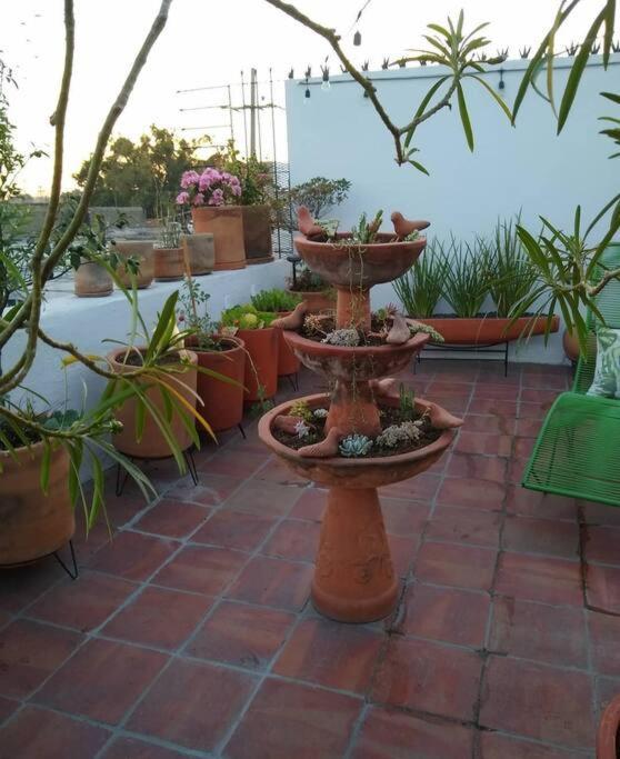 Holiday home Casa Cuauhtemoc