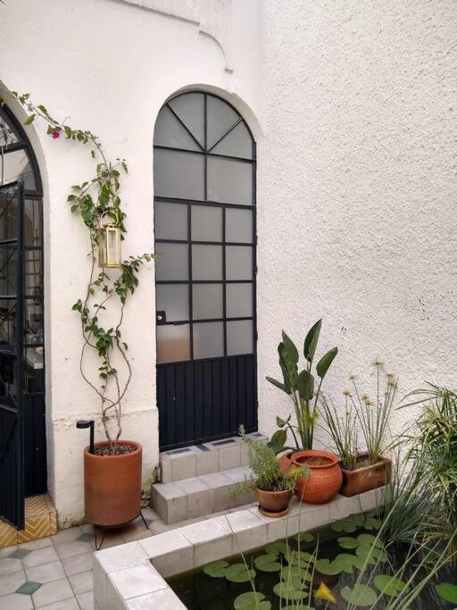 Holiday home Casa Cuauhtemoc *