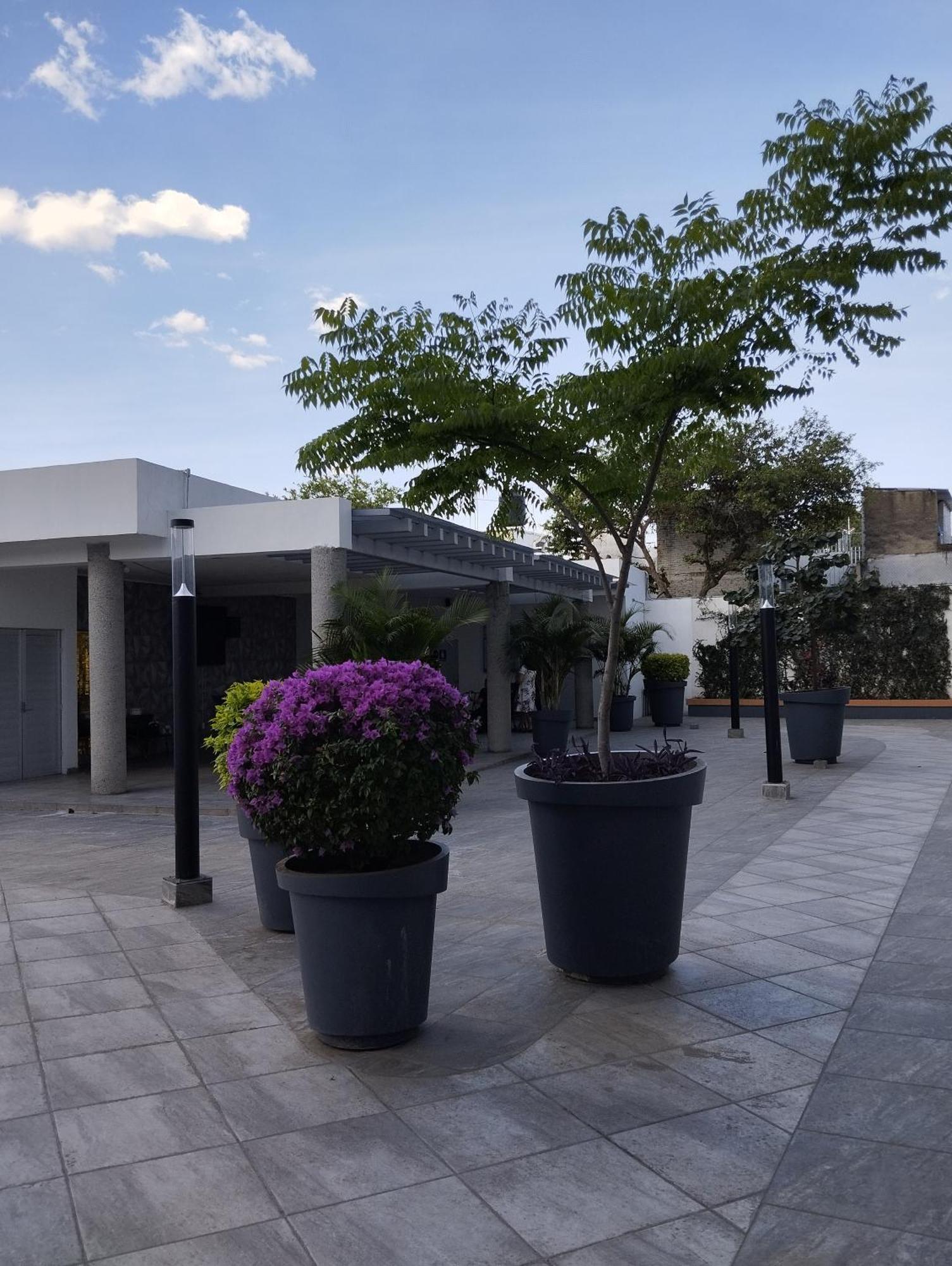 Centro Histórico Con Alberca Y Gym, Acogedor *