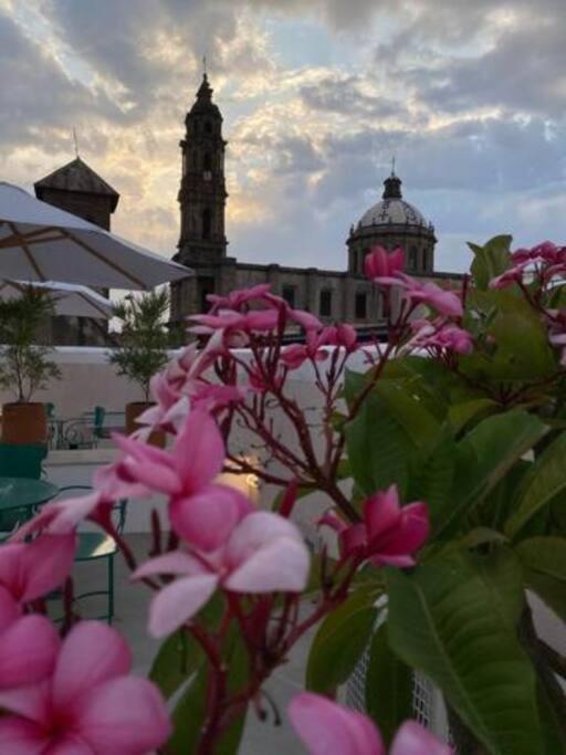 Apartamento Casa Alhaja - Amatista