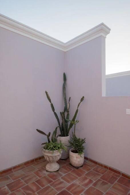 Apartment Casa 9 Esquinas - Granada