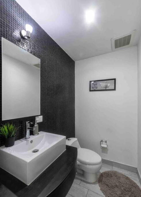 Luxury Chapultepec Apartment Guadalajara