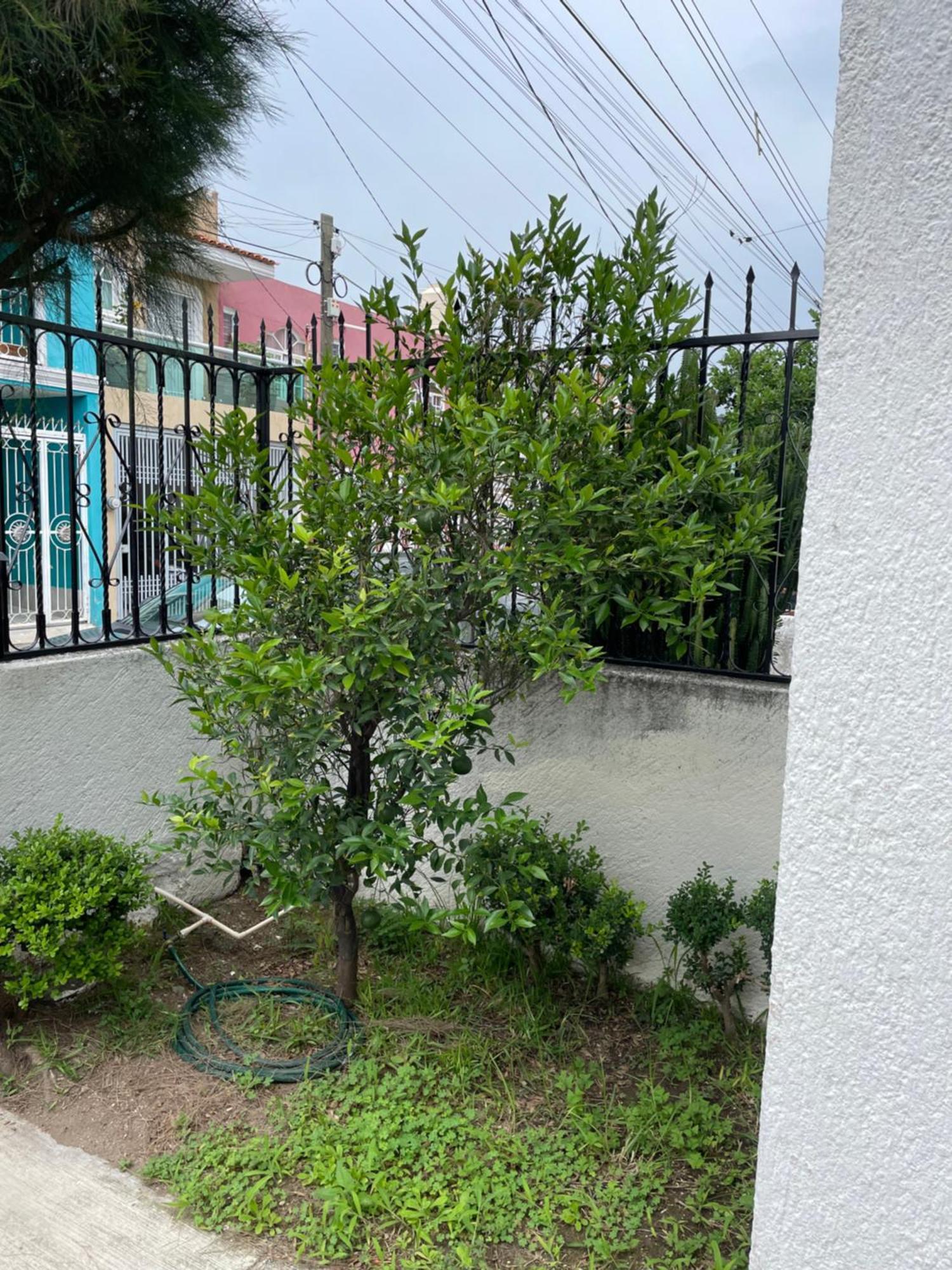 Casa Habitacion En Zapopan Holiday home *