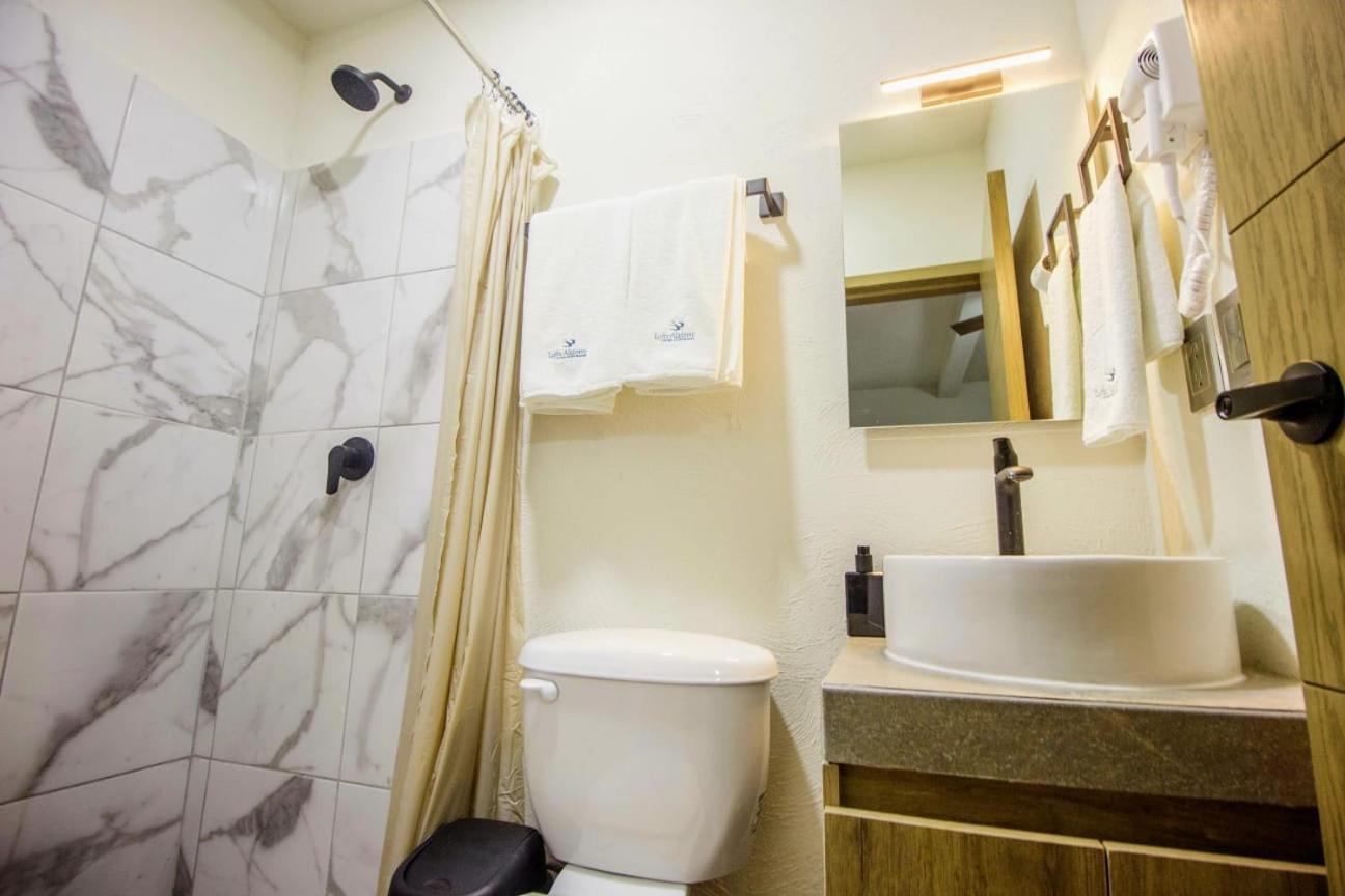 Loft Alatorre Guadalajara