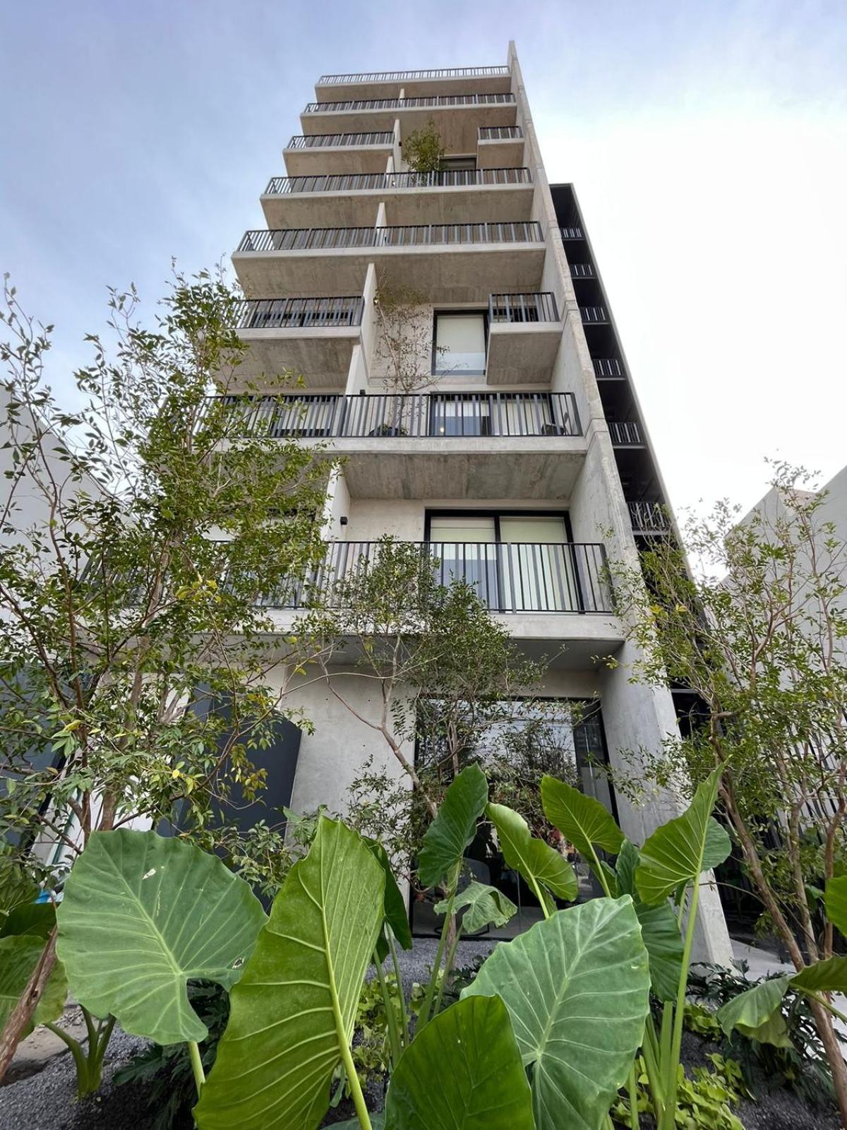Lapso Asis Apartment Guadalajara
