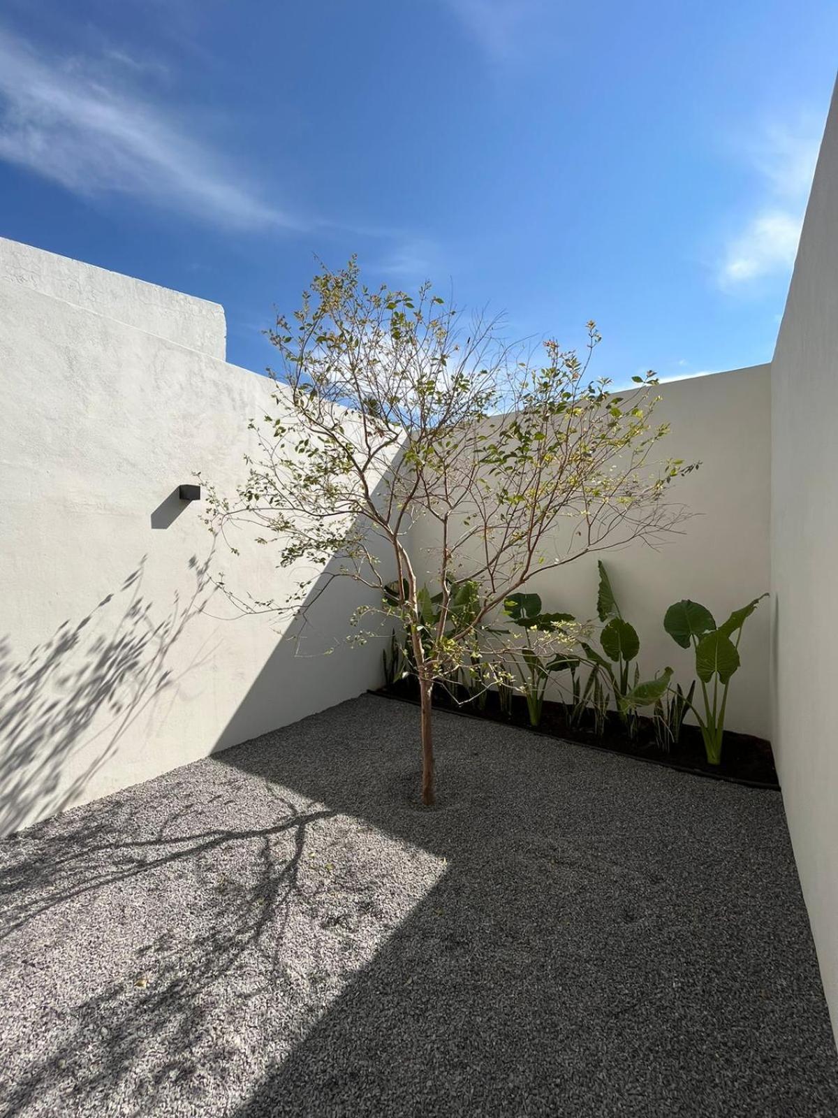 Apartment Lapso Asis *