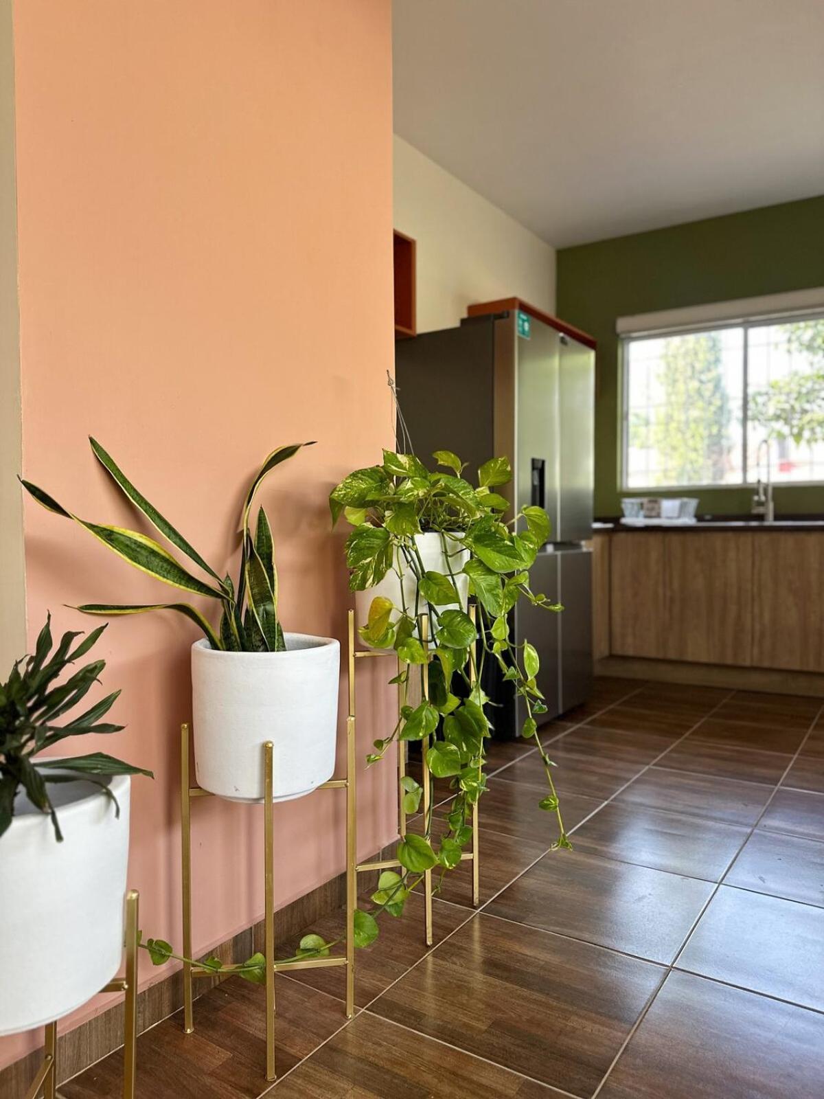 Apartment Casa Membrillo In Tlaquepaque Guadalajara