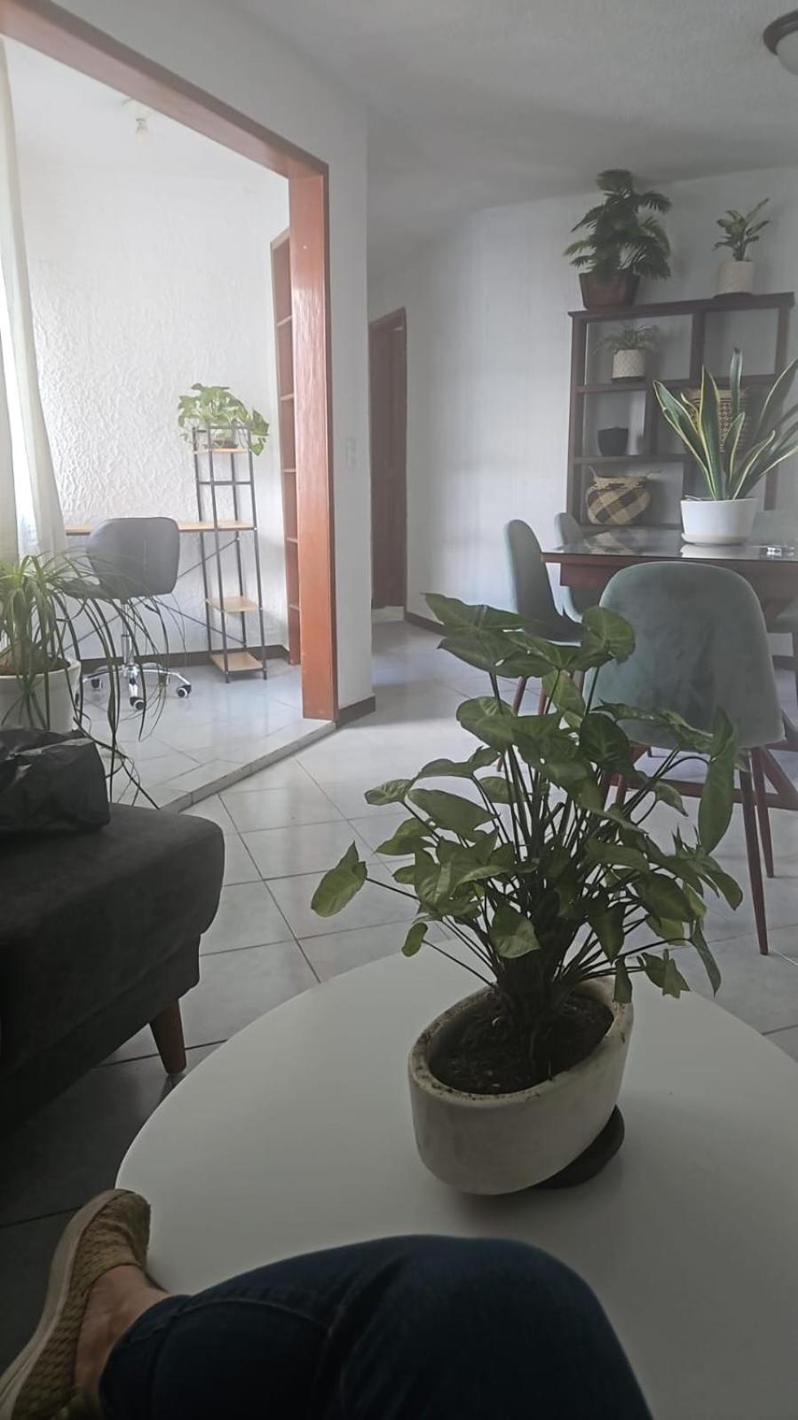 Apartment Departamento En Acacias, Al Lado De El Hard Rock Guadalajara