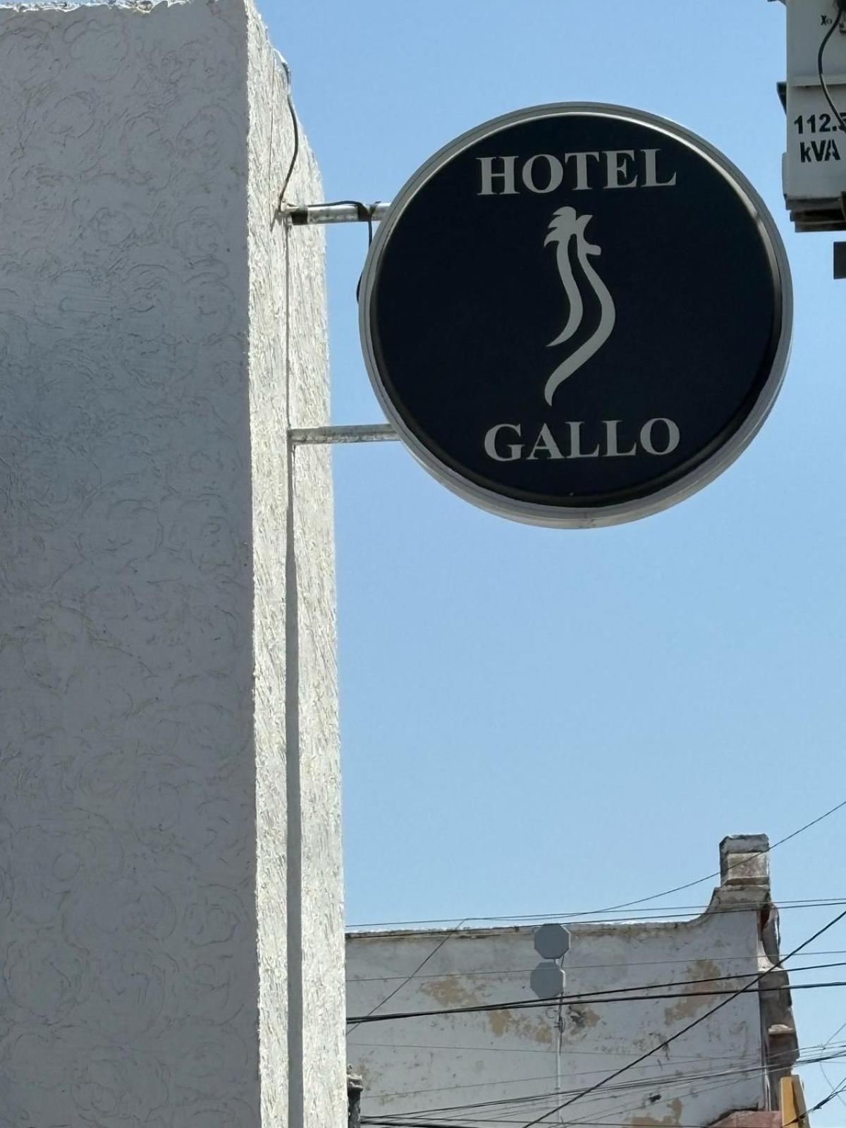 Gallo Hotel Guadalajara