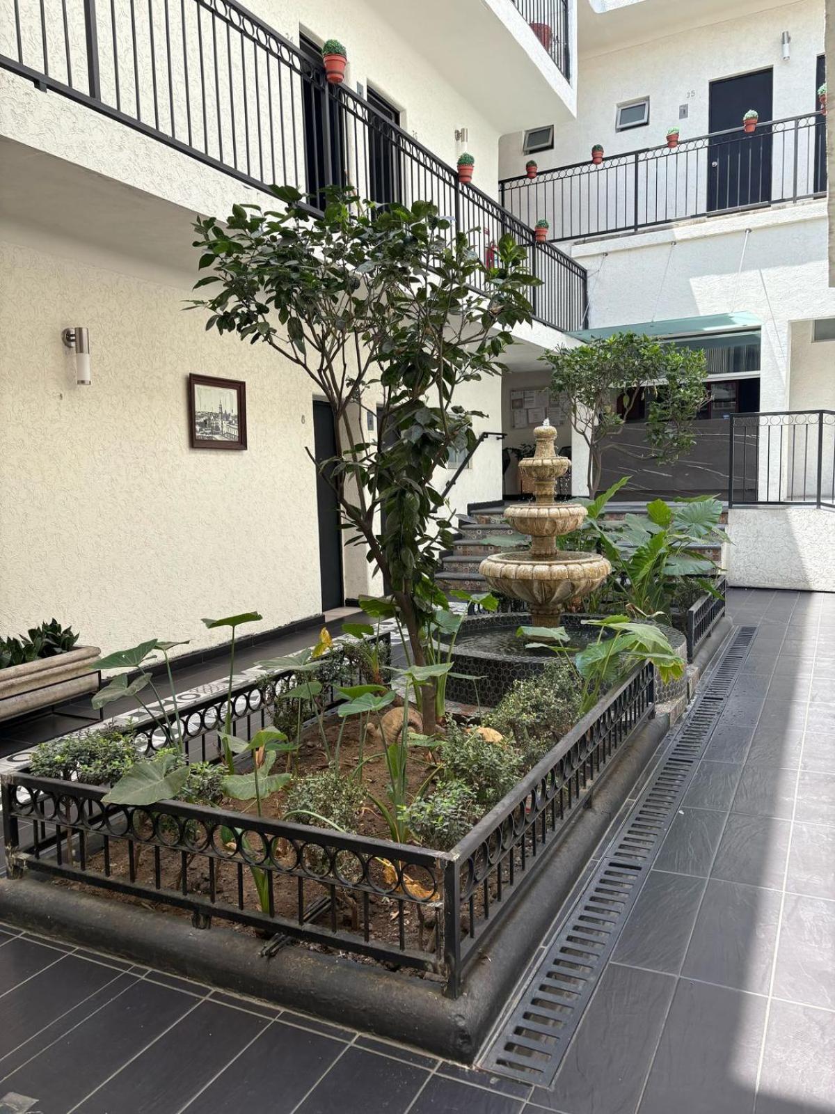 Gallo Guadalajara