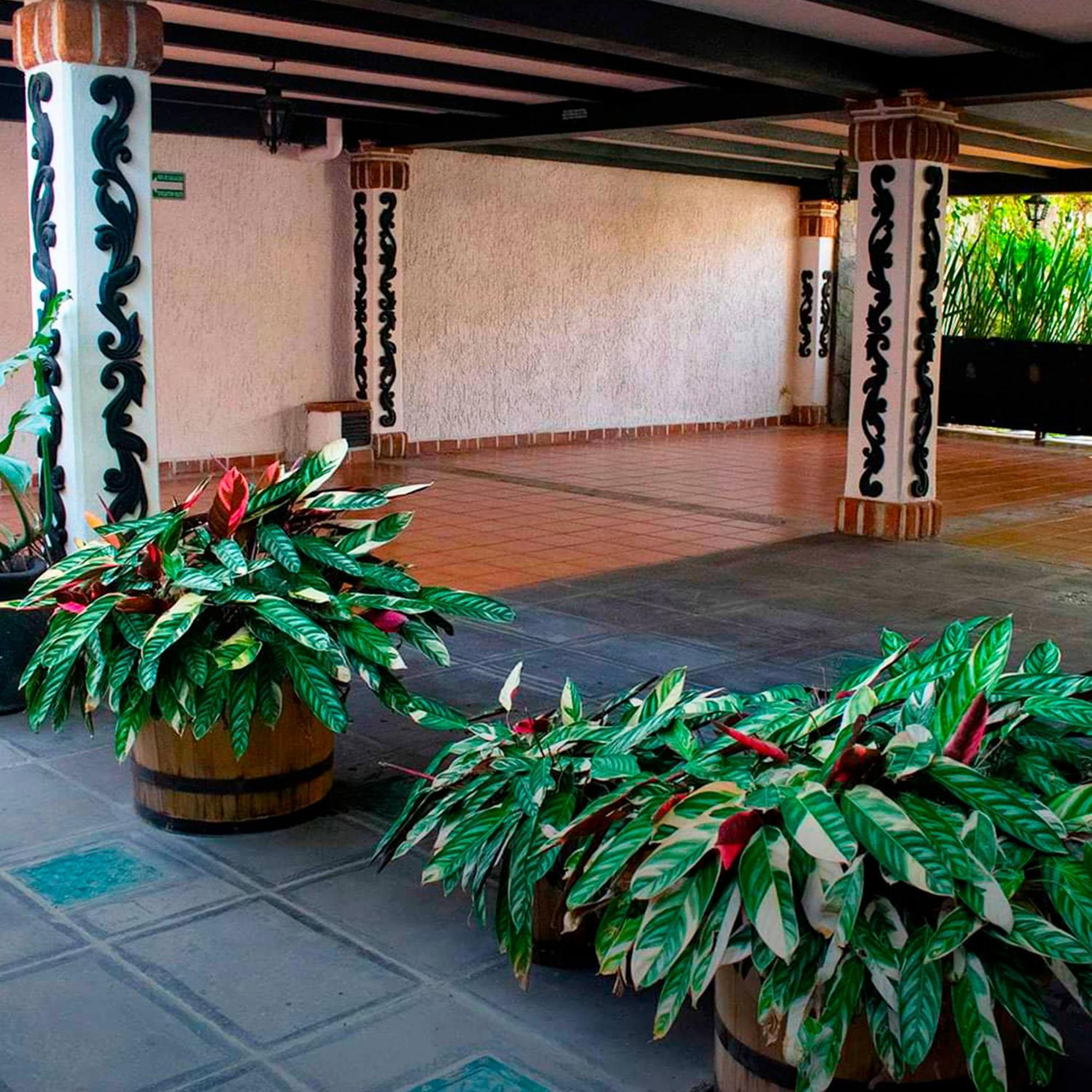 Boutique La Mansion * Guadalajara