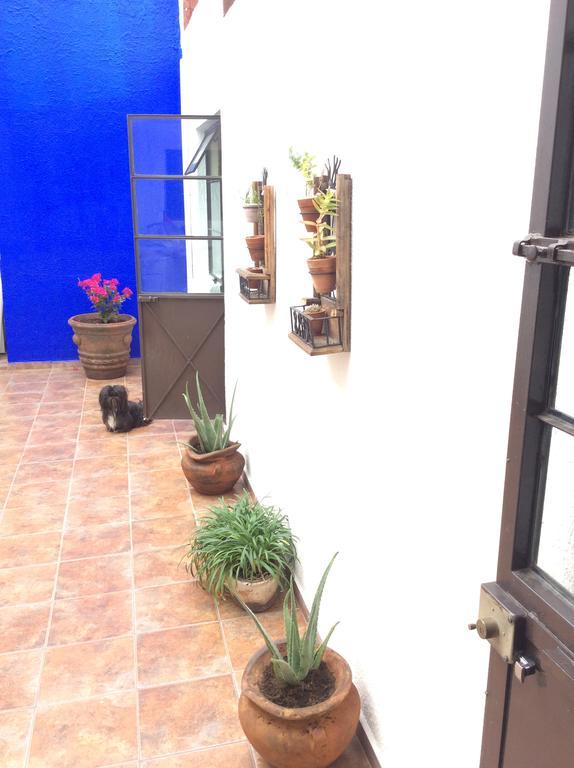 Casa Bonita Guest house Guadalajara