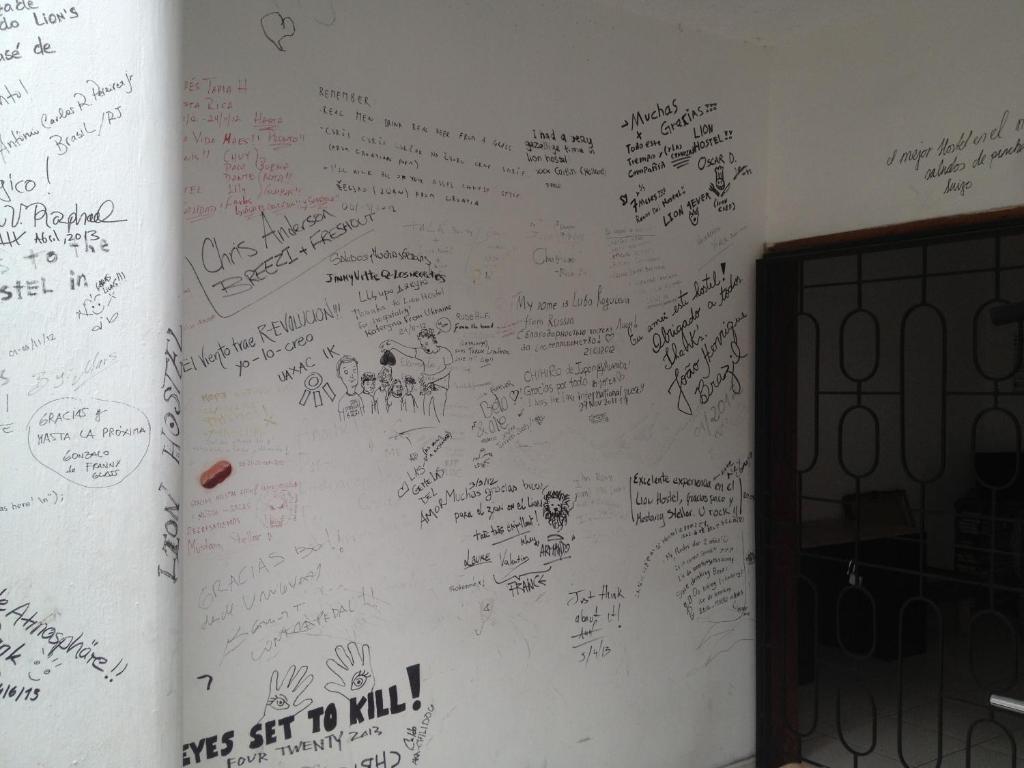 Hostel Lion *