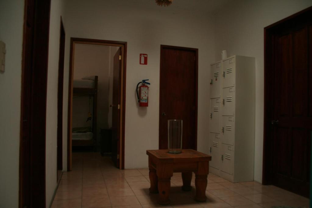 Hostel Lion