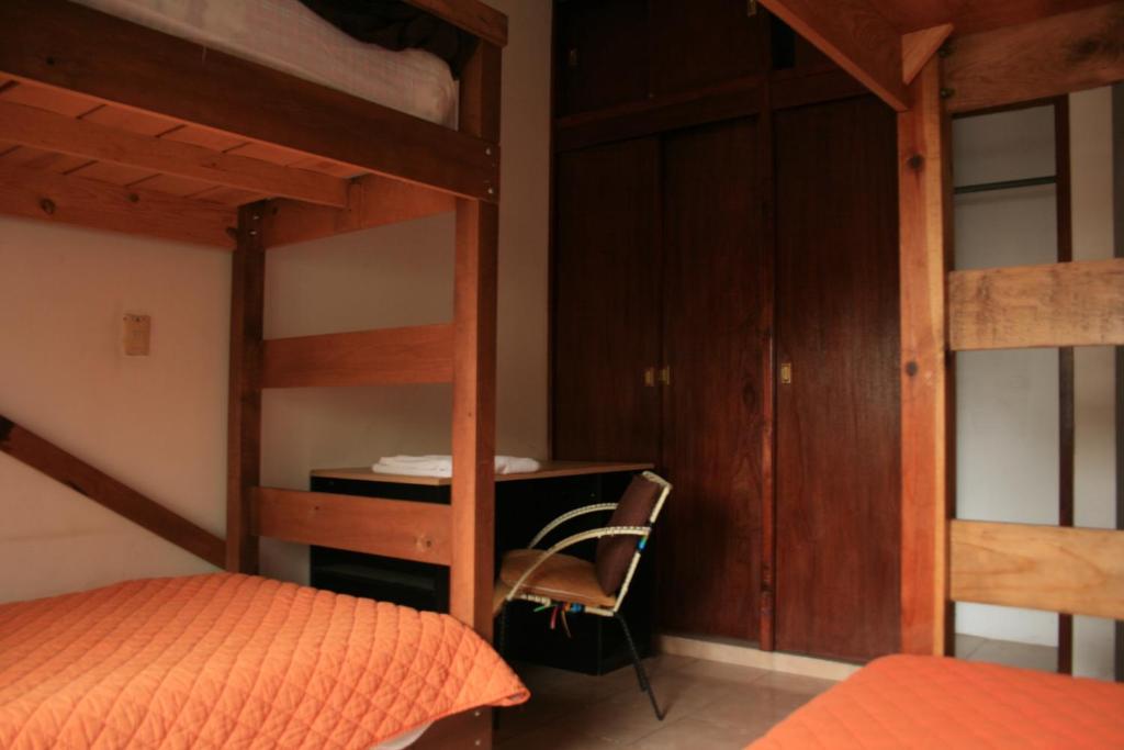 Lion Hostel *