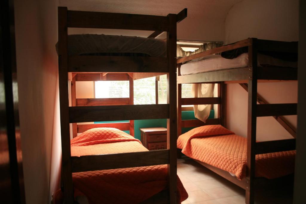 Hostel Lion Guadalajara