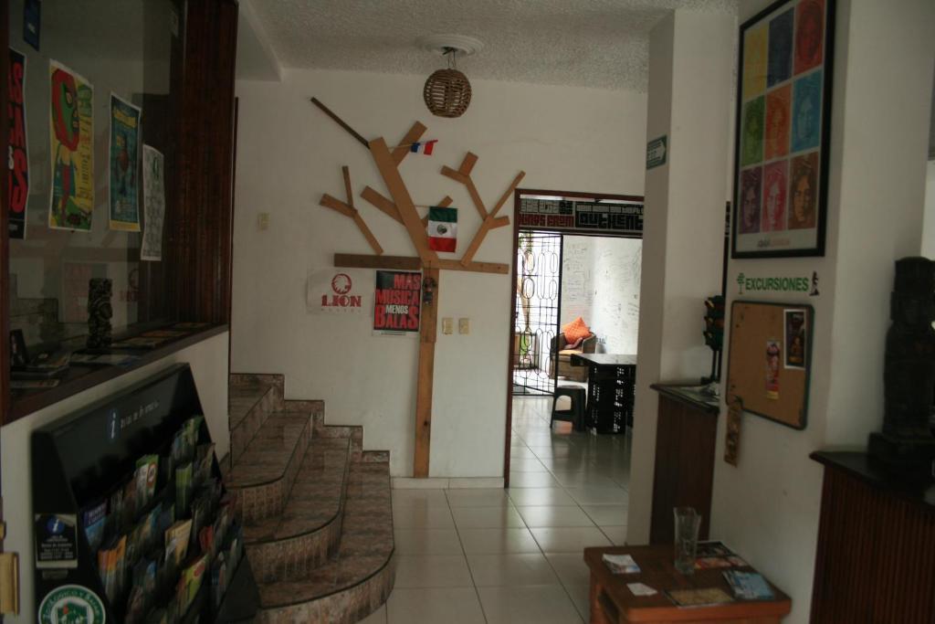 Lion Hostel