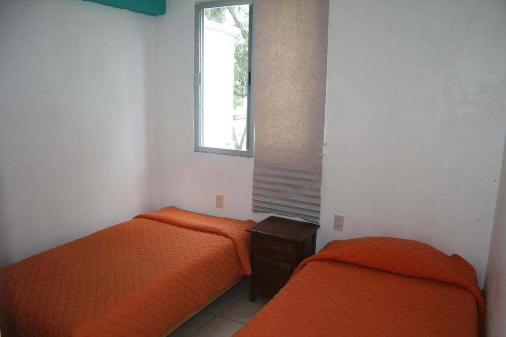 Lion Hostel *
