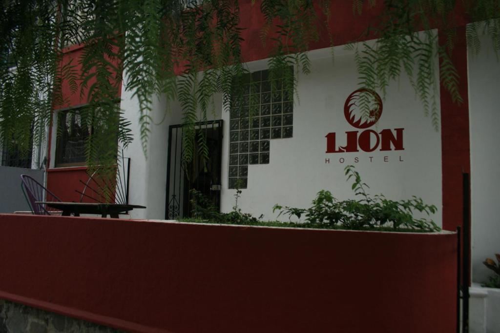 Lion *