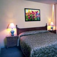 Bernini Hotel 3*