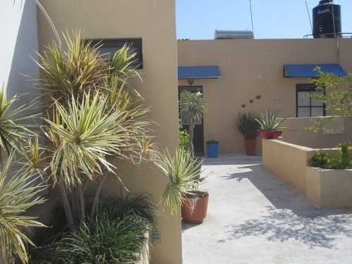 Hostel Mezcalito Blue
