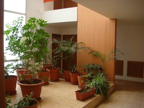 Futura 3* Guadalajara