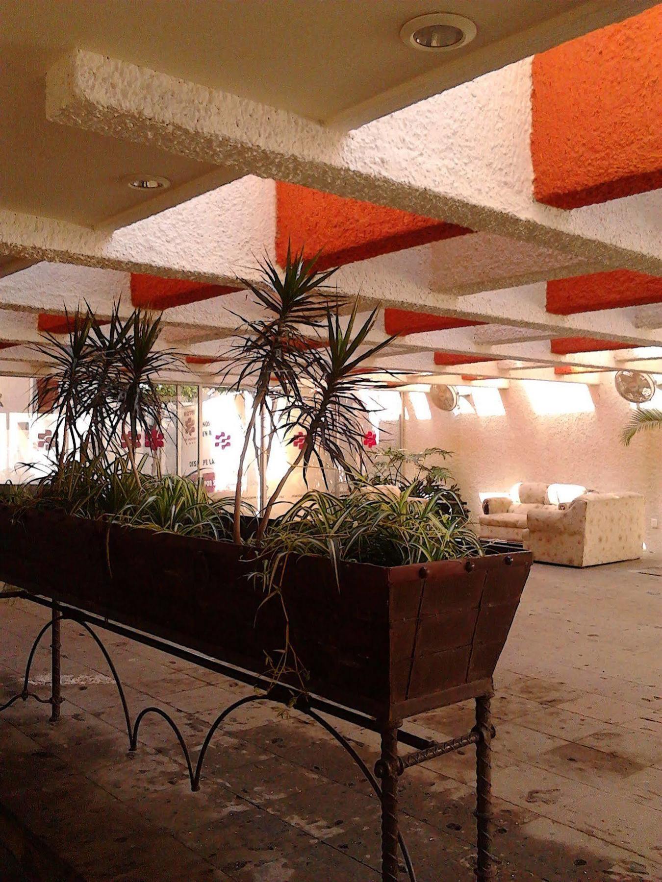 Pergolas Guadalajara