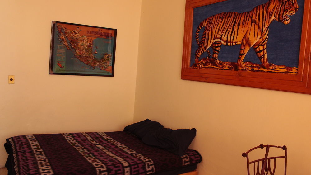 Casa de hóspedes The Roof Backpackers Guadalajara