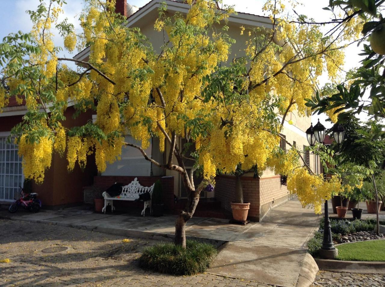 La Casita De Fraida * Guadalajara