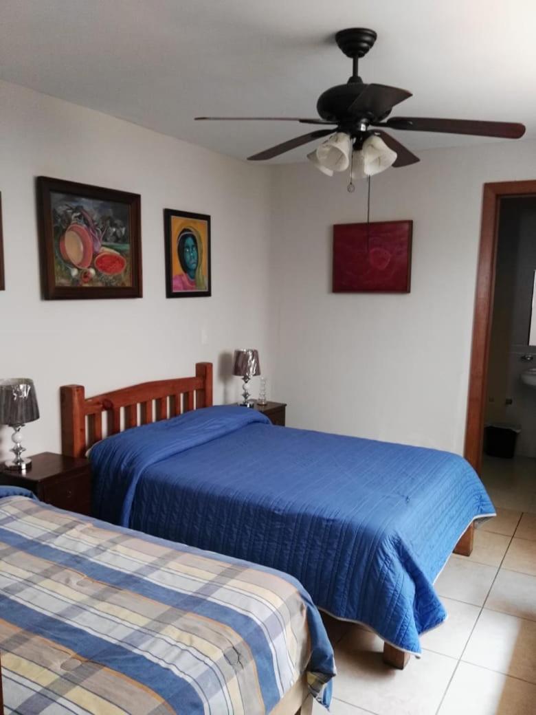 Hostel Olga Querida