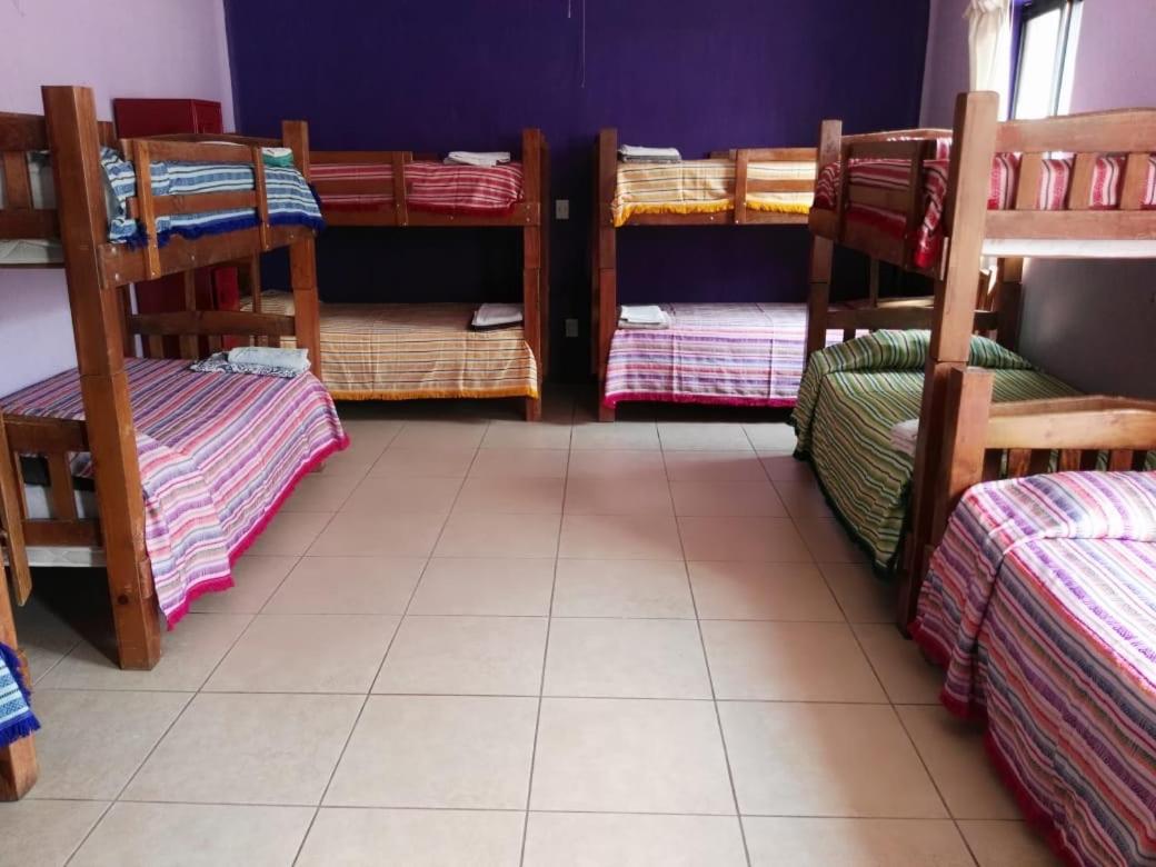 Olga Querida Hostel