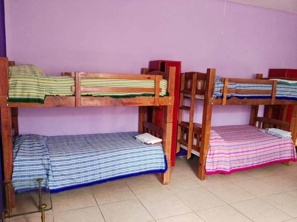 Hostel Olga Querida Guadalajara
