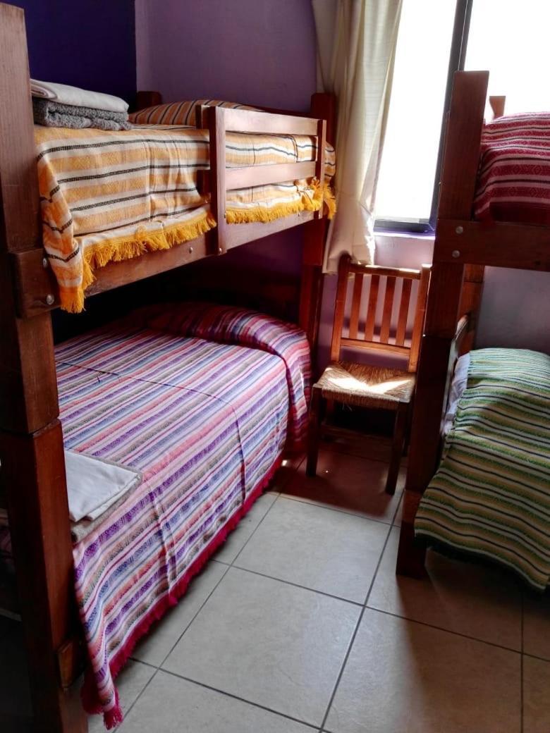 Olga Querida Hostel *